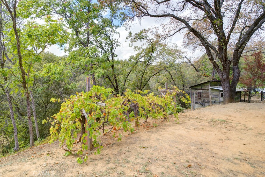 main property photo 32