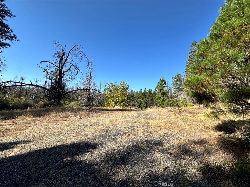 main property photo 11