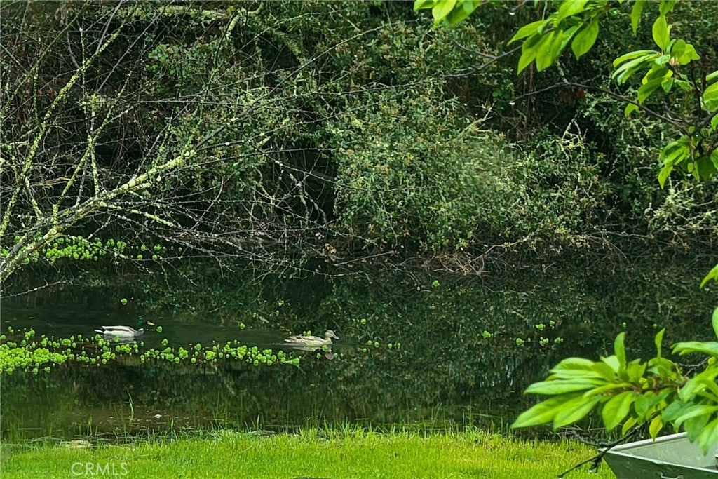 main property photo 48