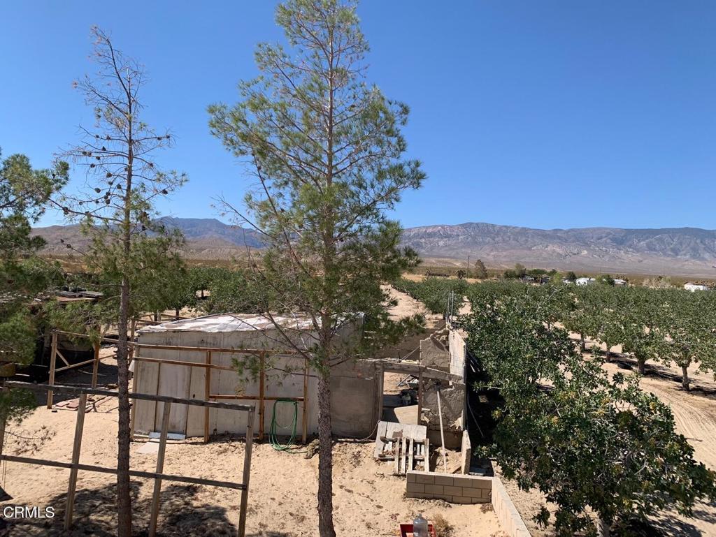 main property photo 19