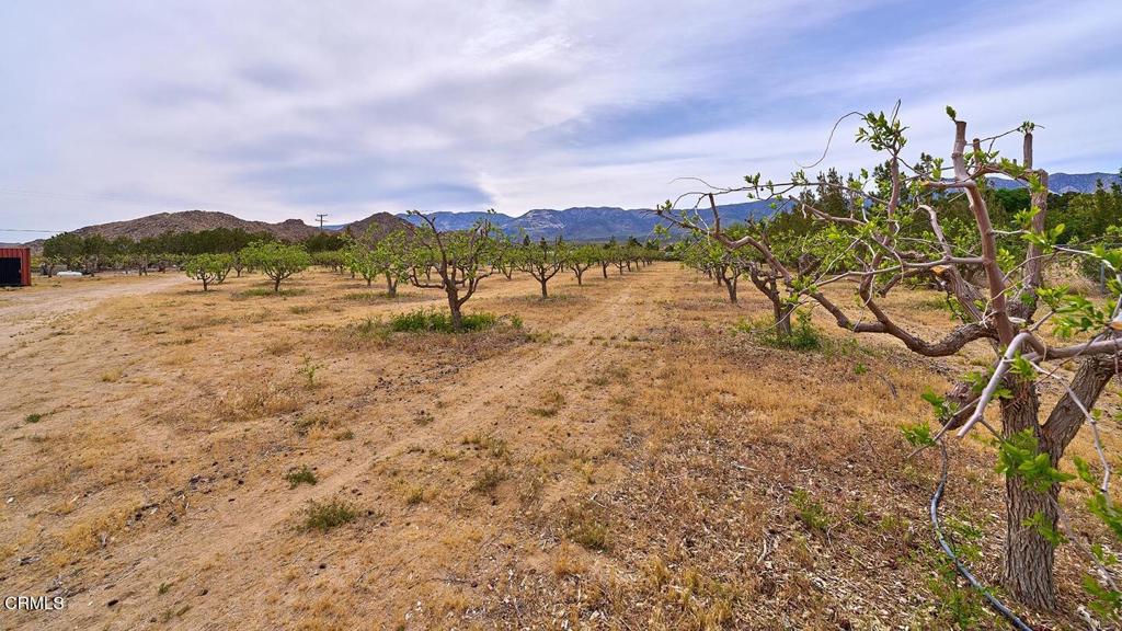 main property photo 49