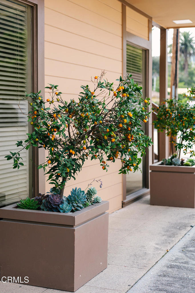 main property photo 73