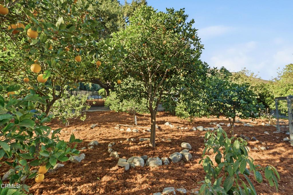 main property photo 57
