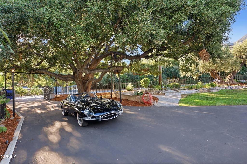 main property photo 58