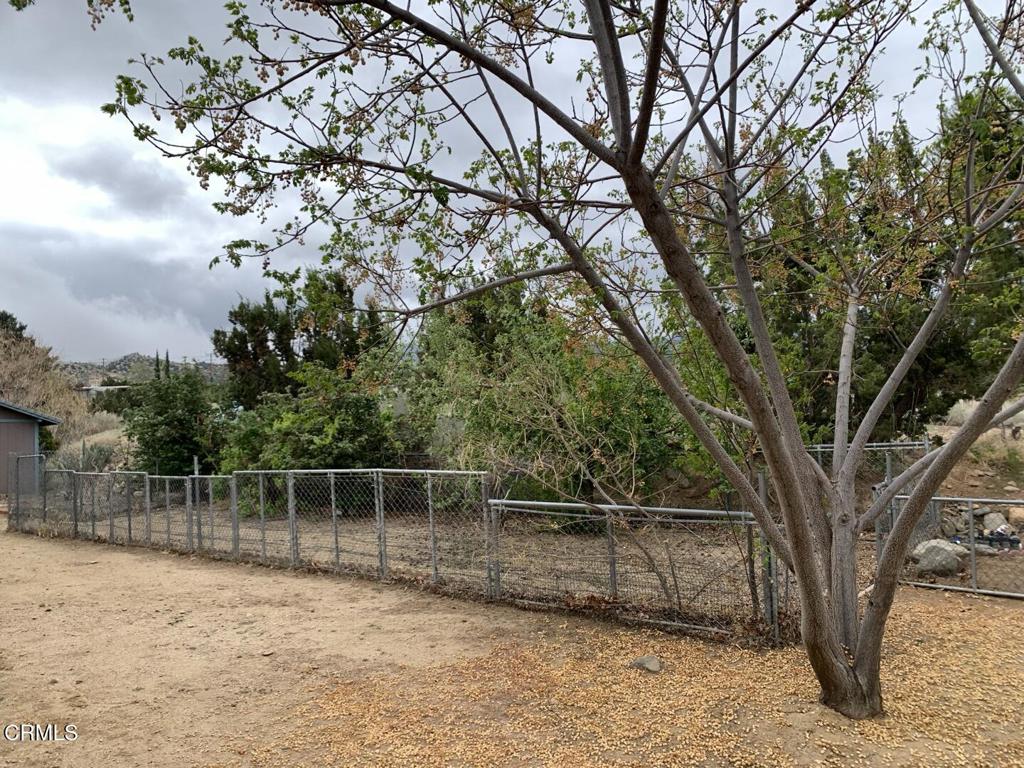 main property photo 49