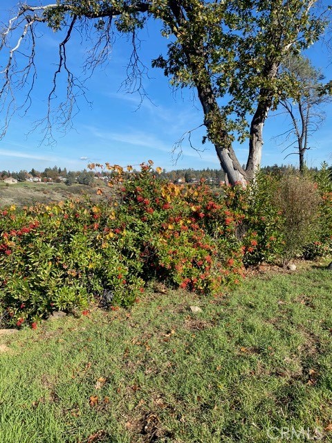 main property photo 12
