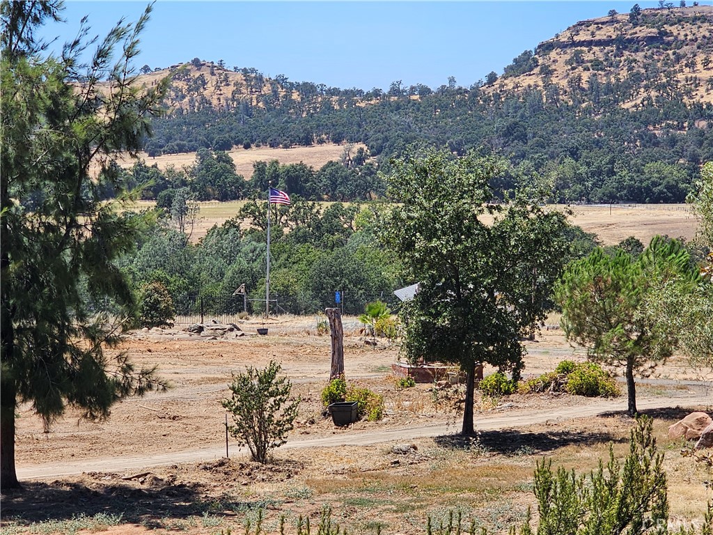 main property photo 52