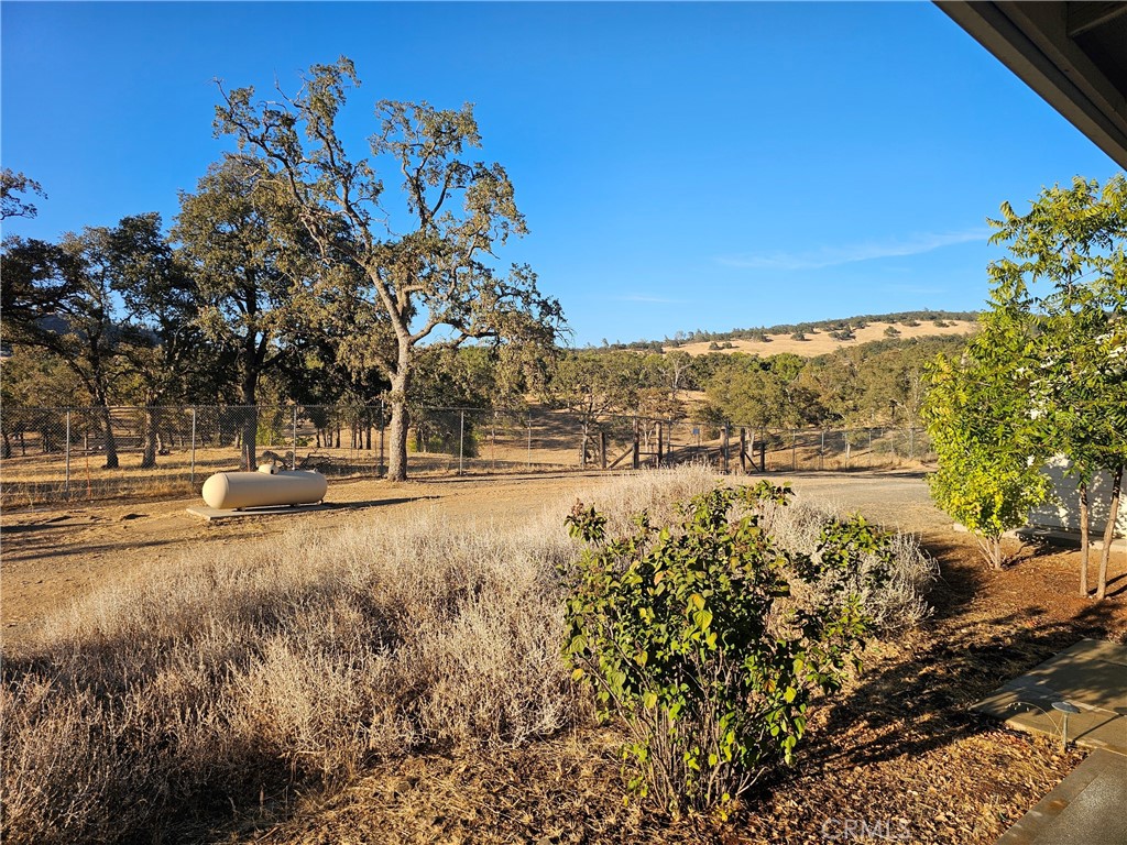 main property photo 59