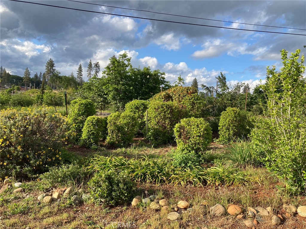 main property photo 35