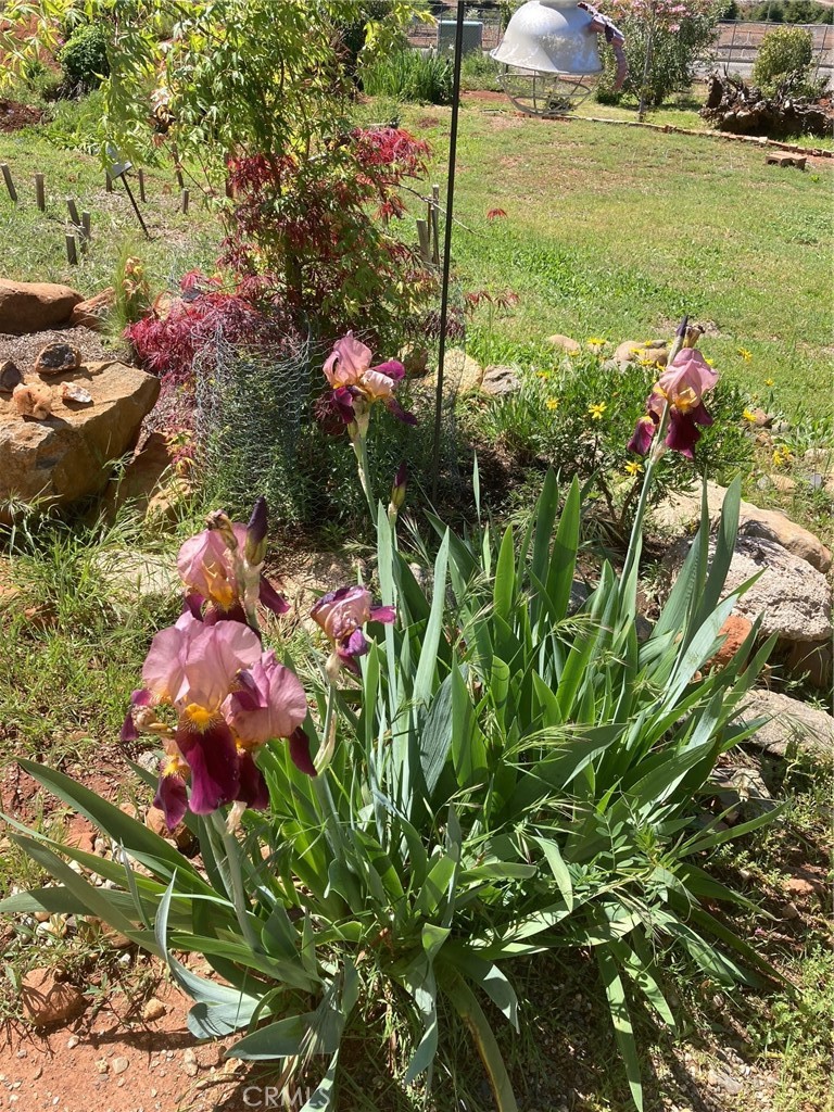 main property photo 44