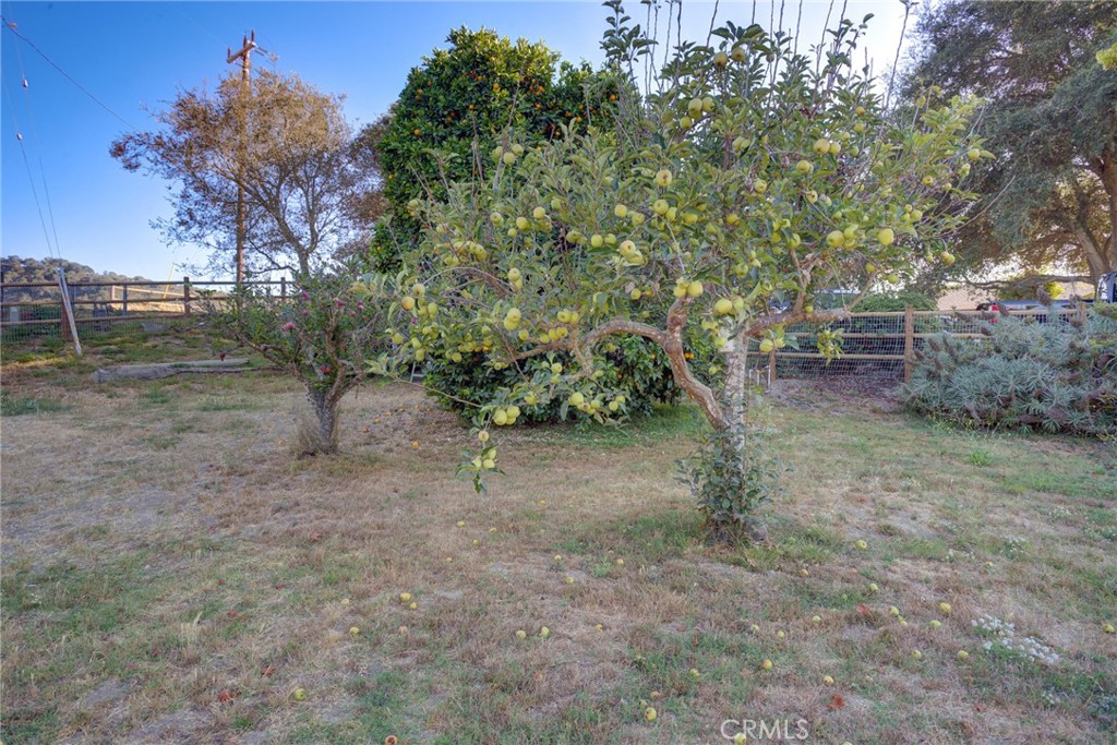 main property photo 67
