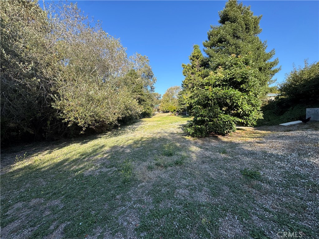 main property photo 9