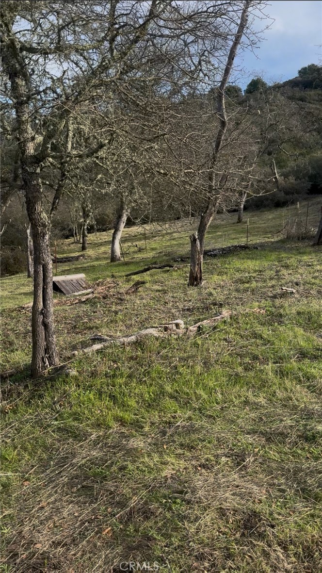 main property photo 20