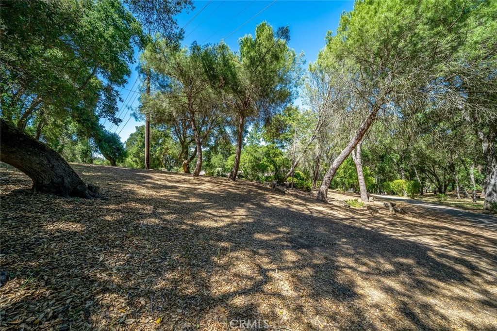 main property photo 68