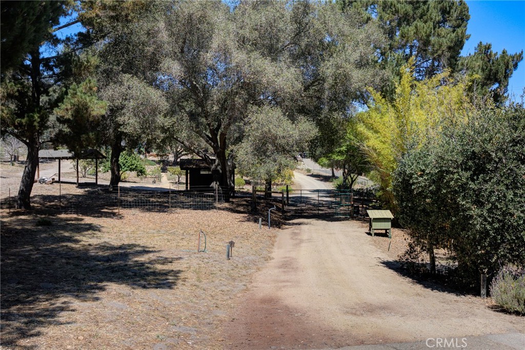main property photo 46