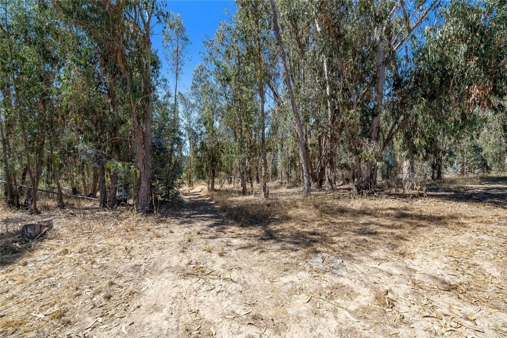 main property photo 36