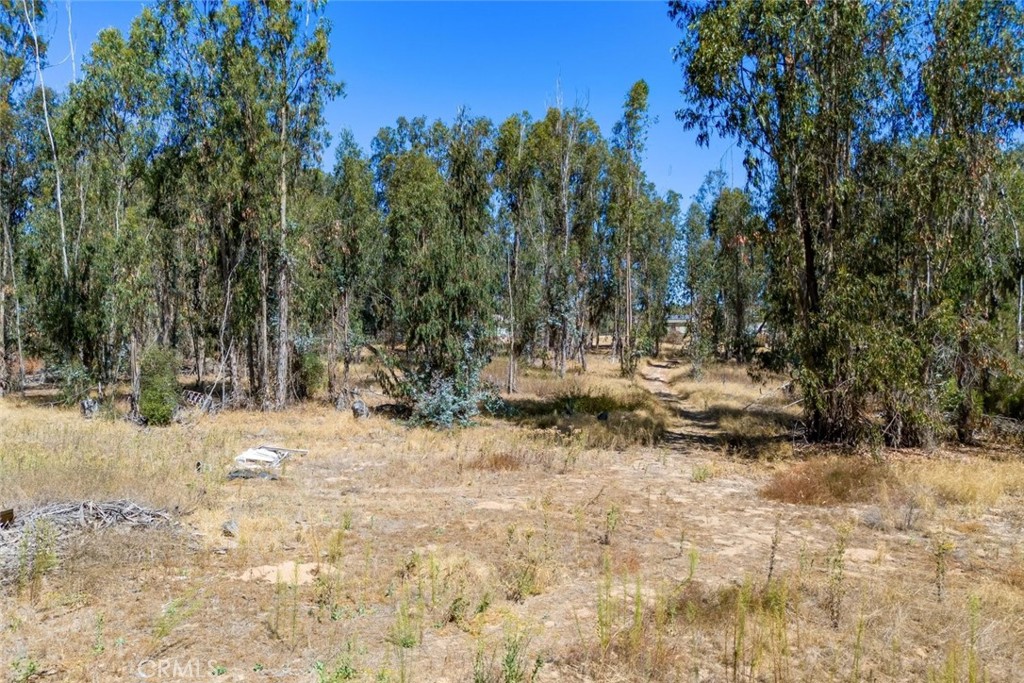 main property photo 40