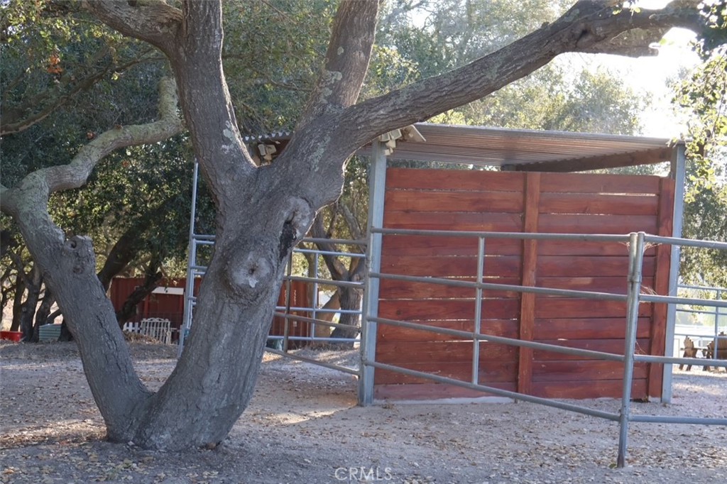 main property photo 51