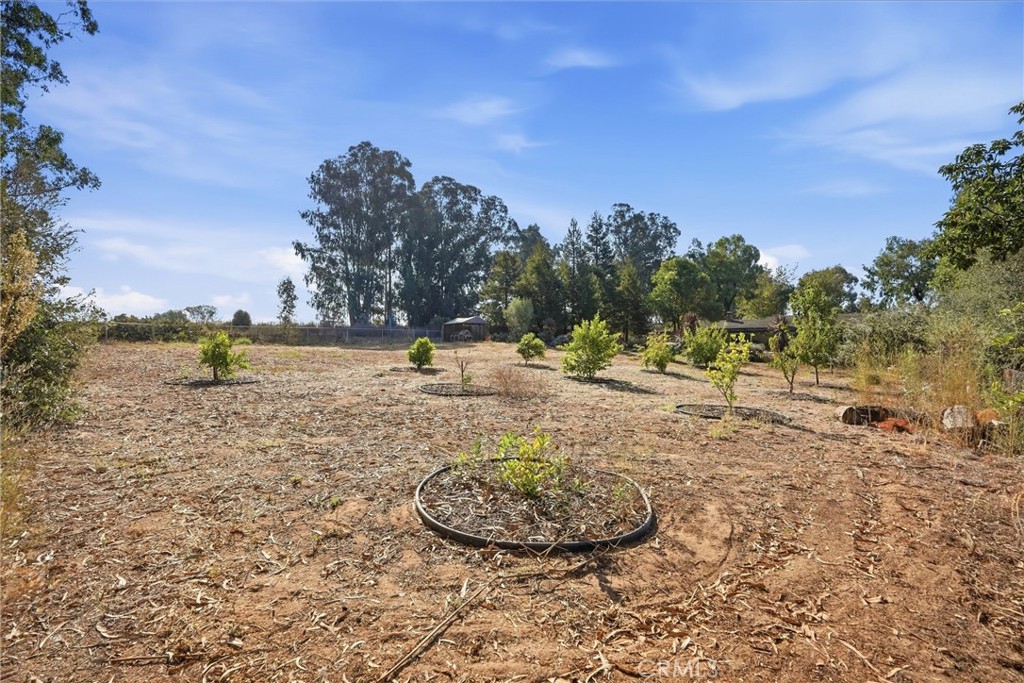 main property photo 49