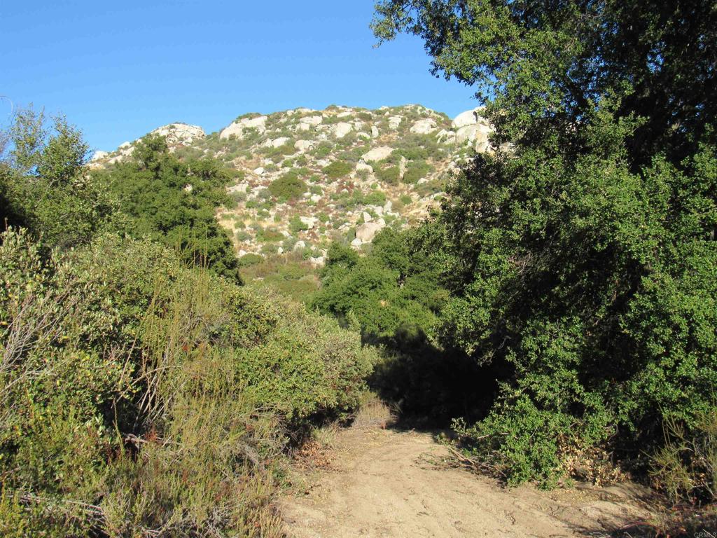 main property photo 13