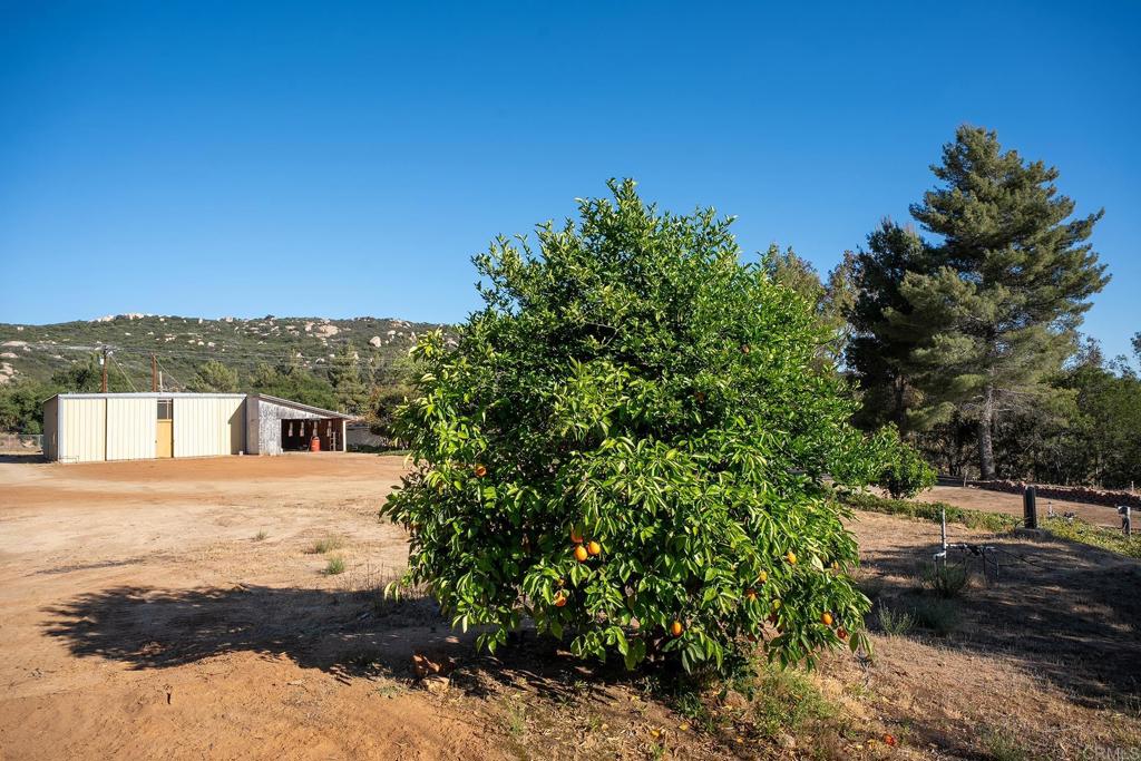 main property photo 50
