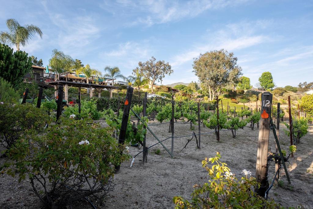 main property photo 61
