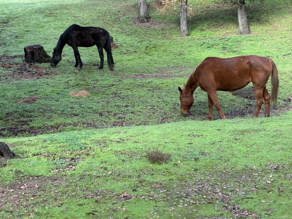 main property photo 62