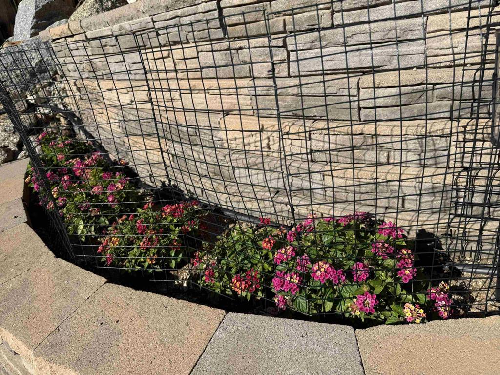 main property photo 51