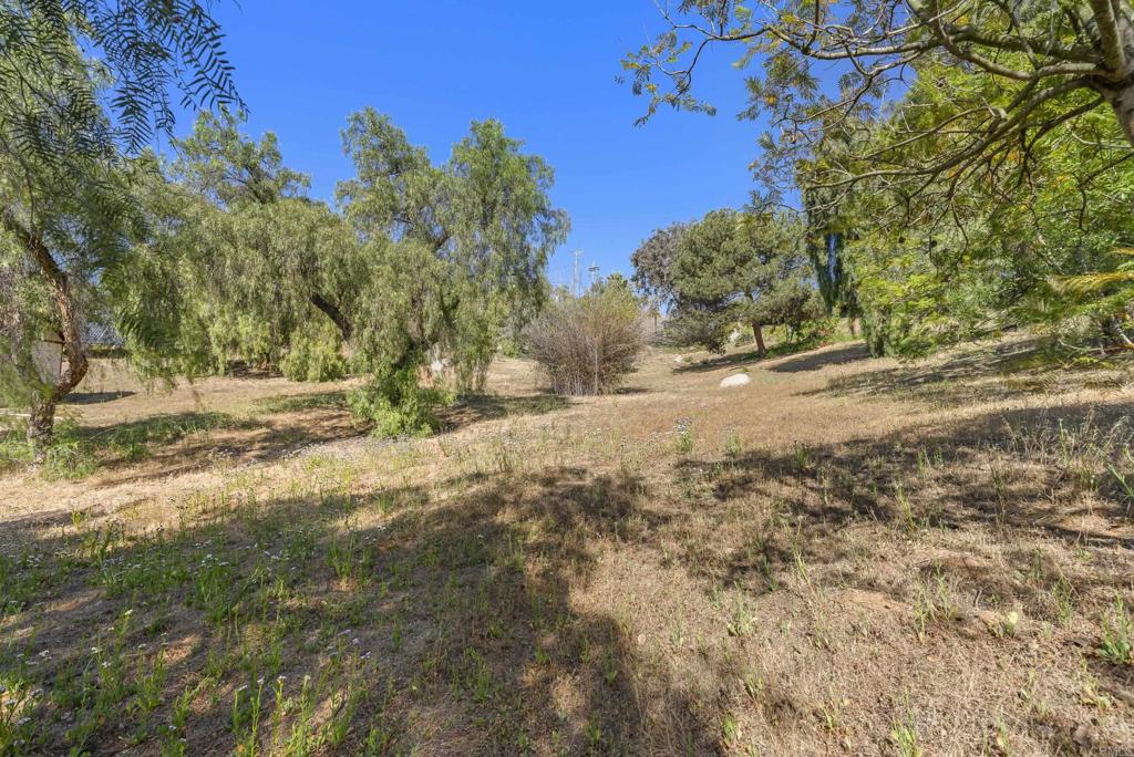 main property photo 67