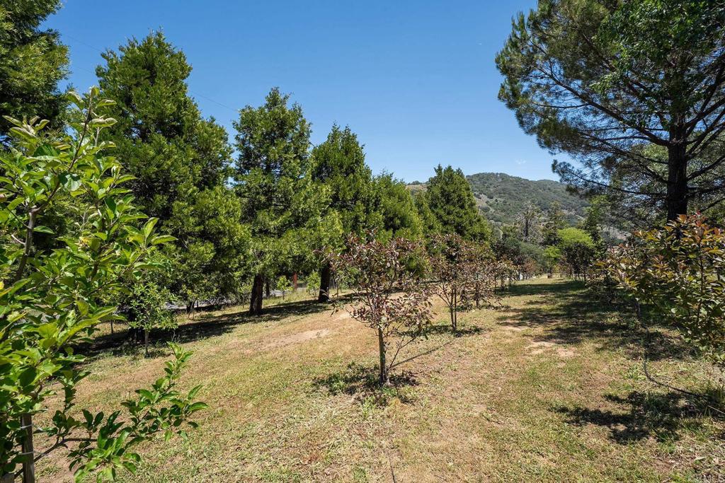 main property photo 68