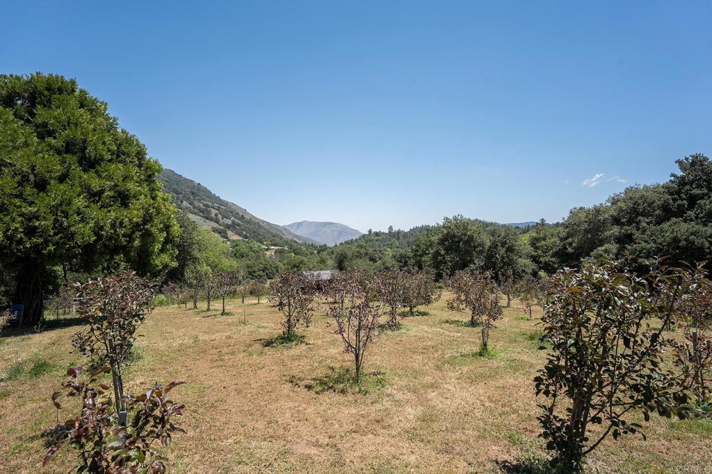 main property photo 72