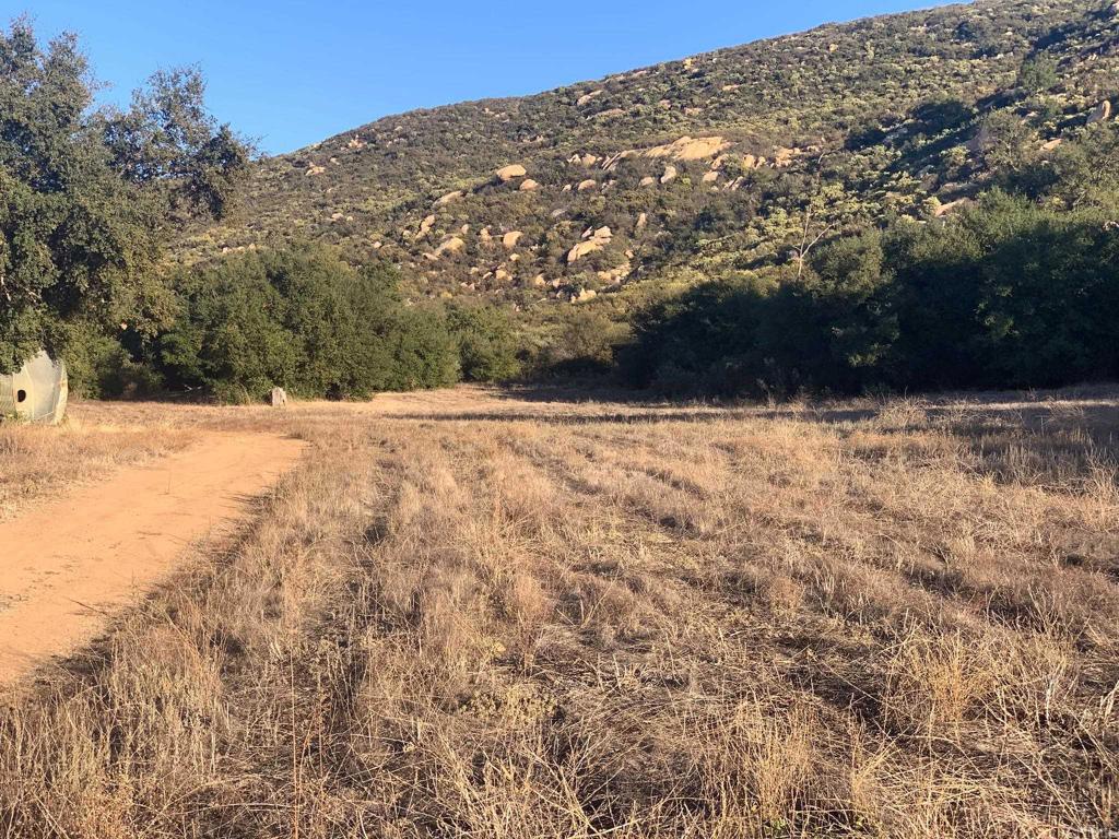 main property photo 39