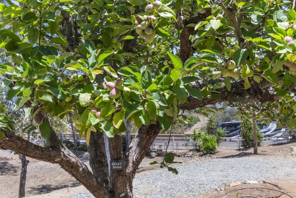 main property photo 42