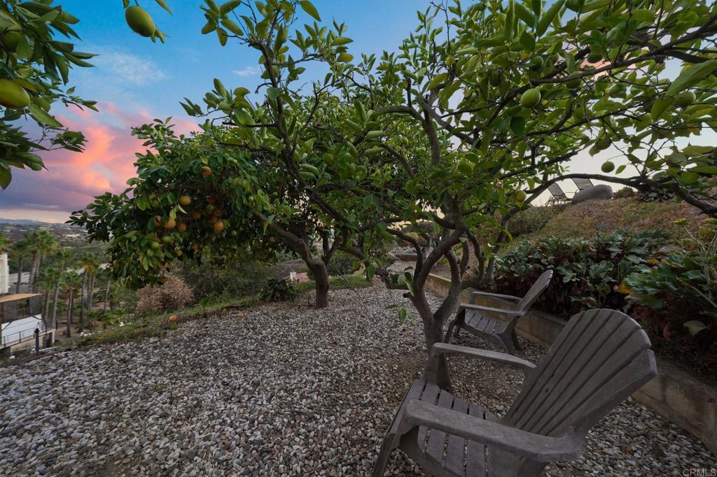 main property photo 56
