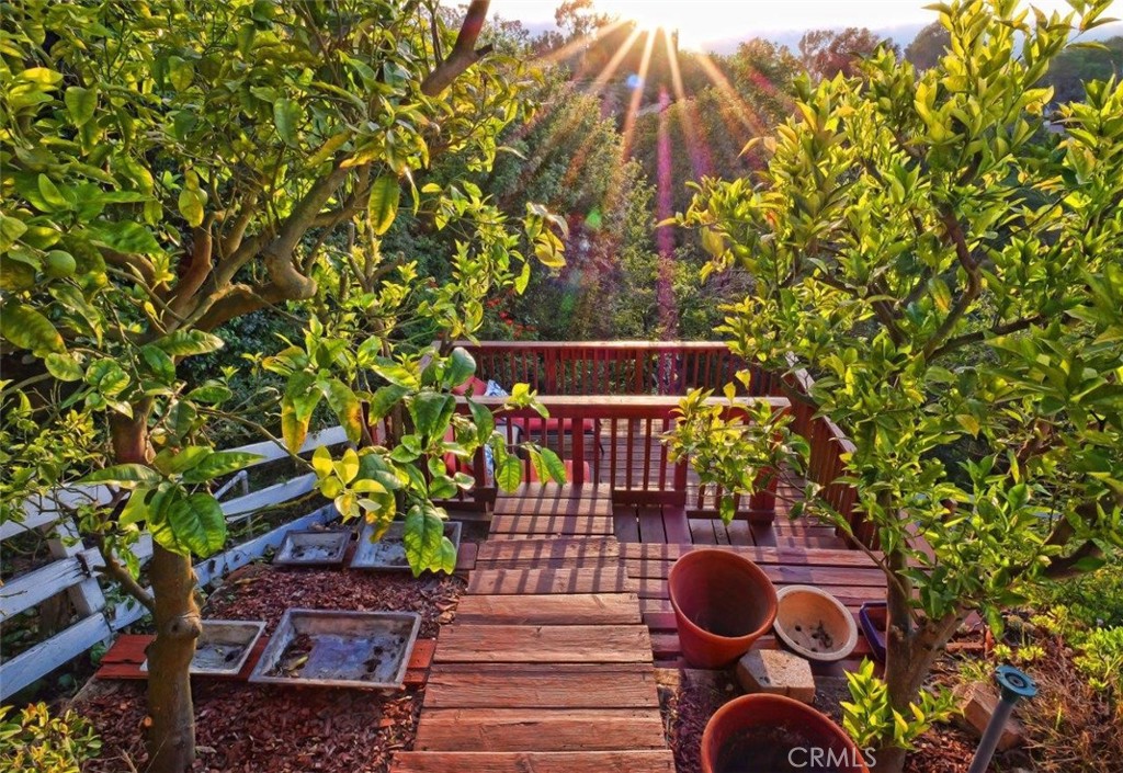 main property photo 54
