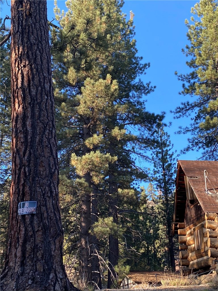 main property photo 11