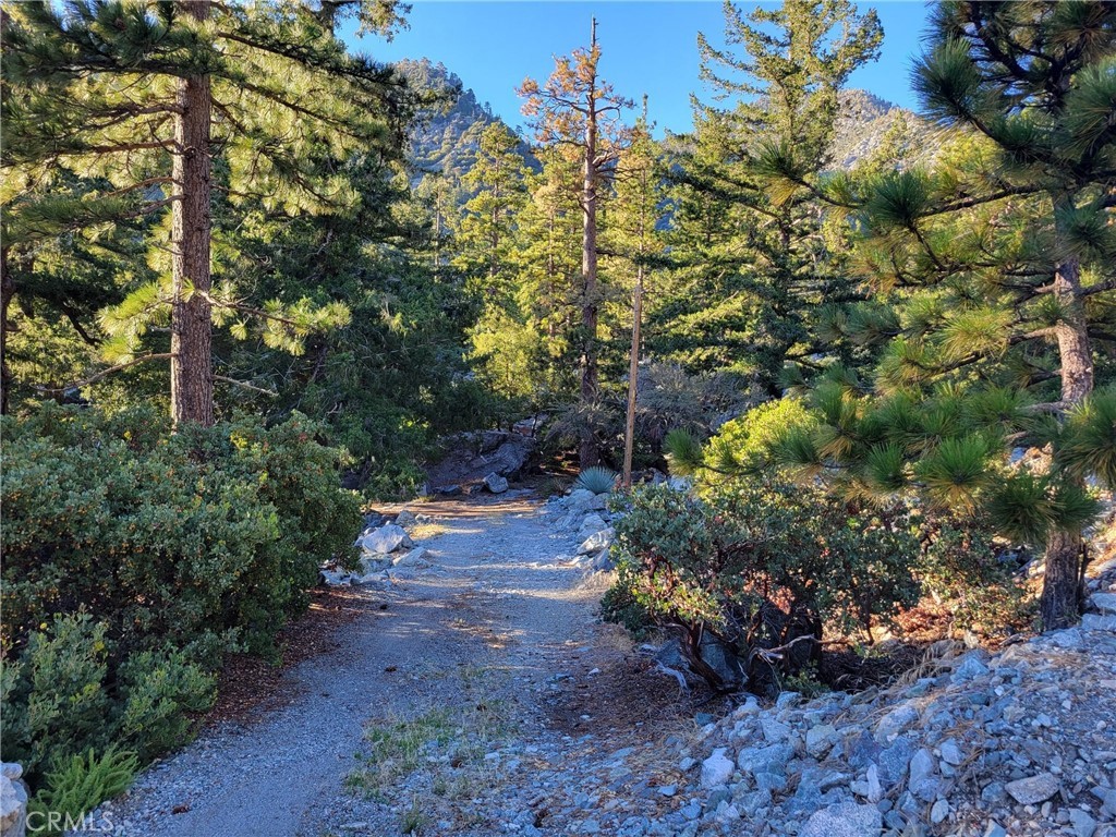 main property photo 15