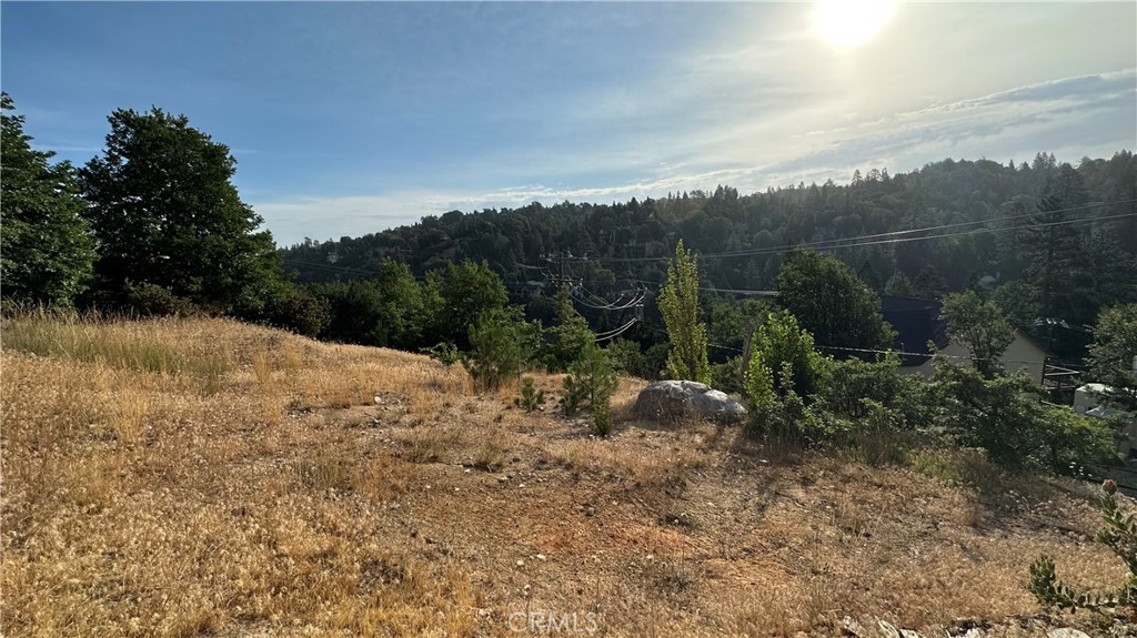 main property photo 7