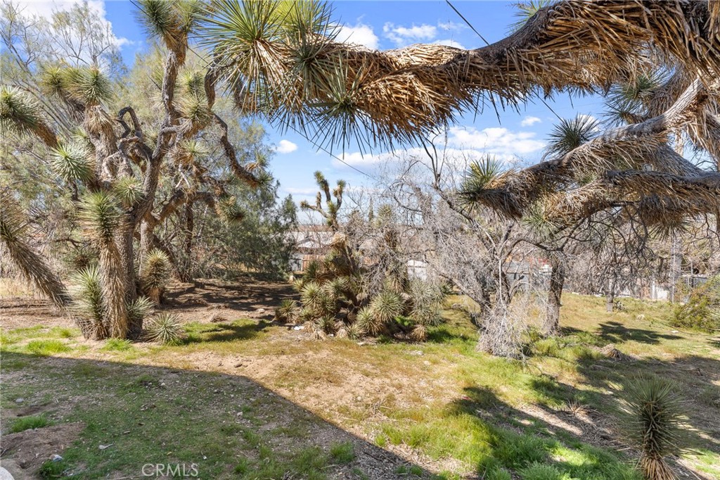 main property photo 11