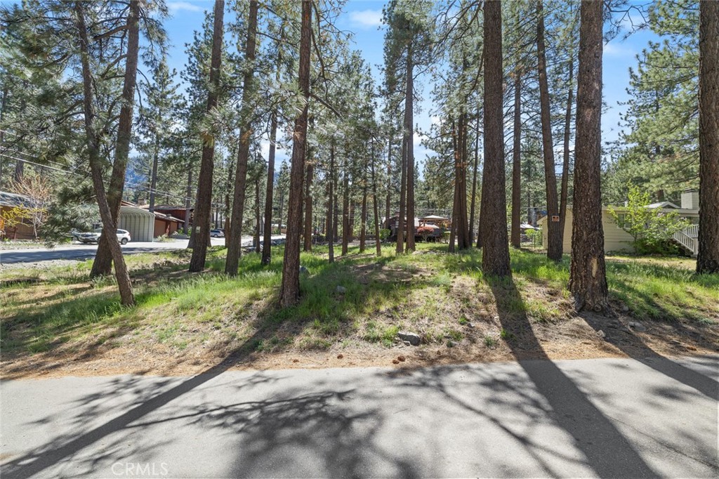 main property photo 4