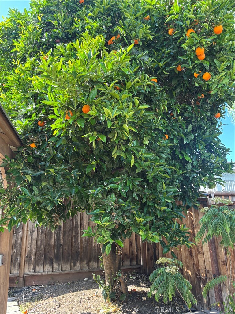 main property photo 59