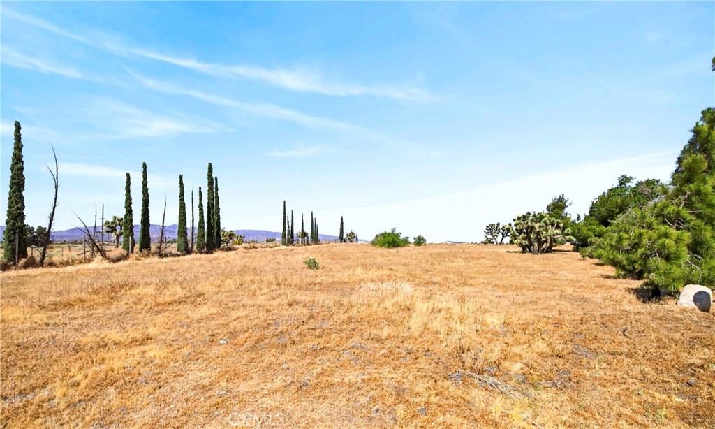 main property photo 51