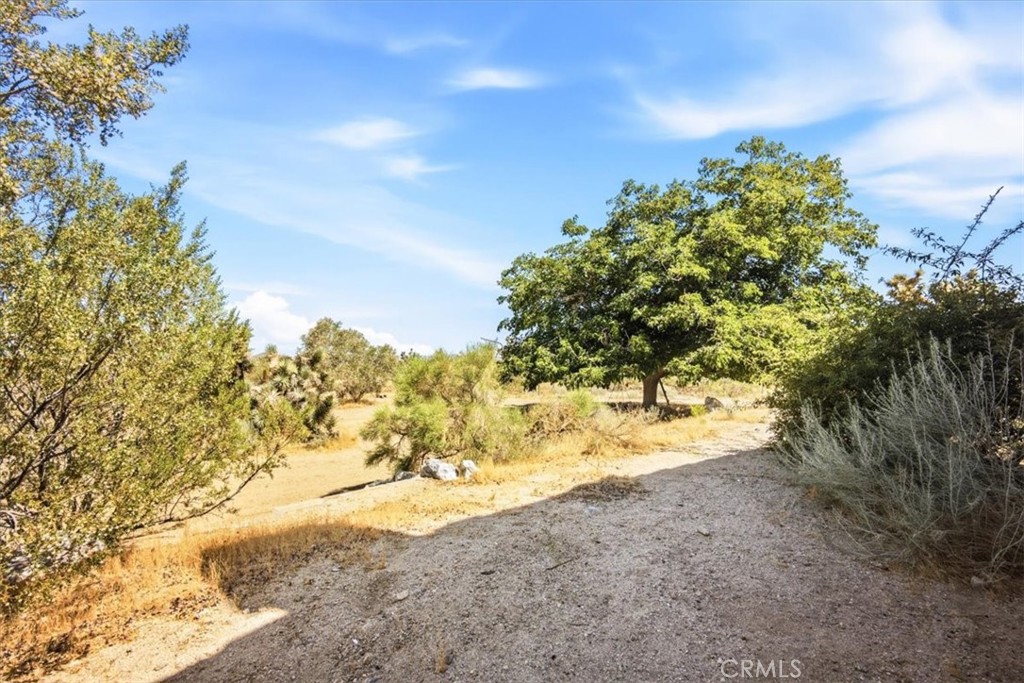 main property photo 37