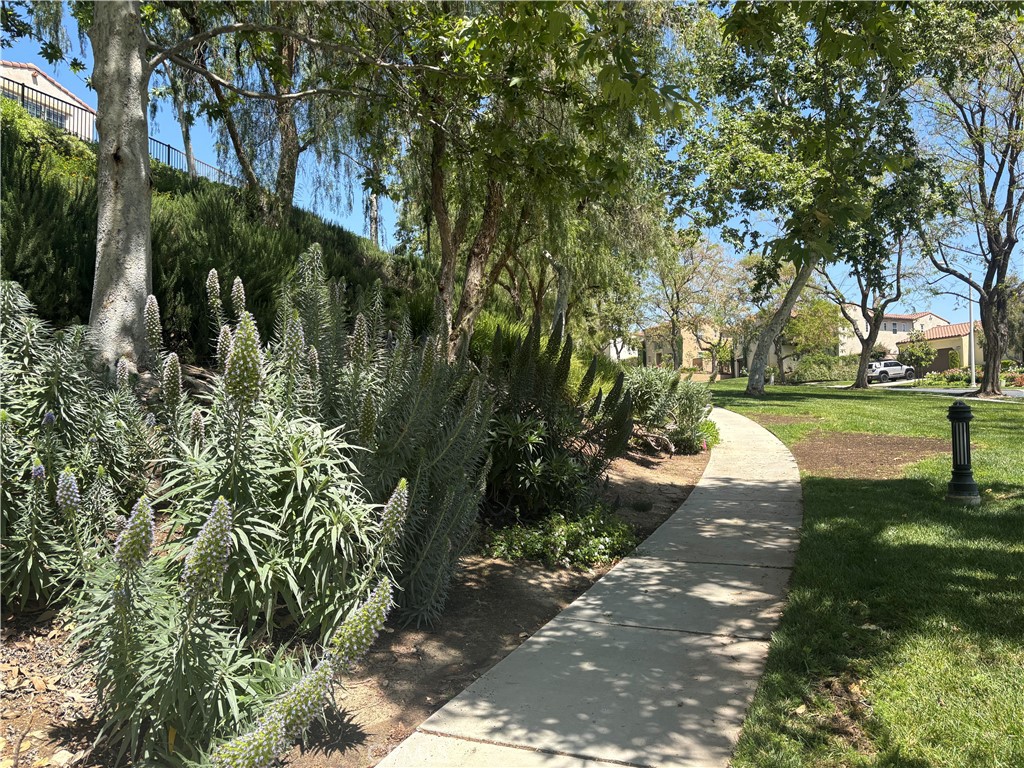 main property photo 55