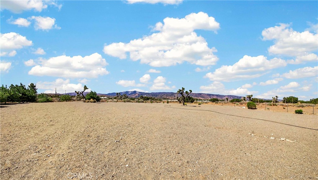 main property photo 56
