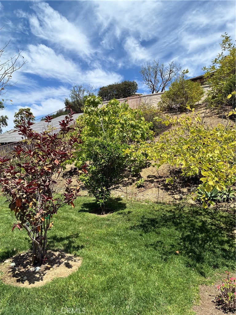 main property photo 54