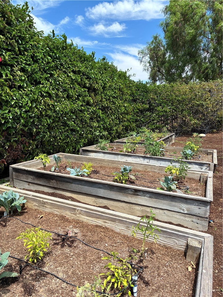 main property photo 55