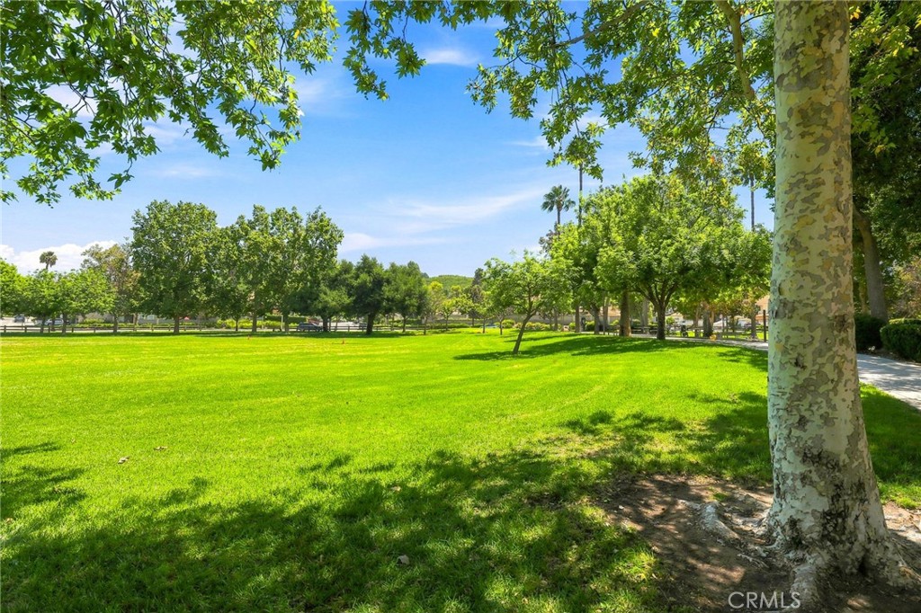 main property photo 58
