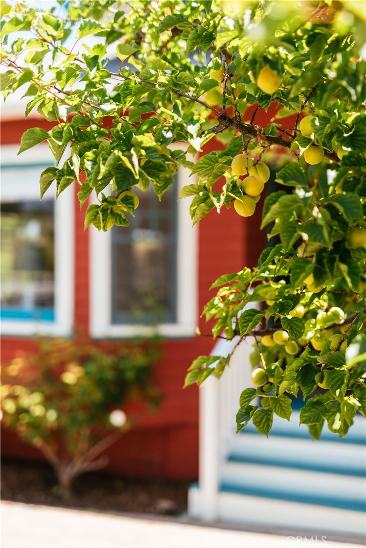 main property photo 50