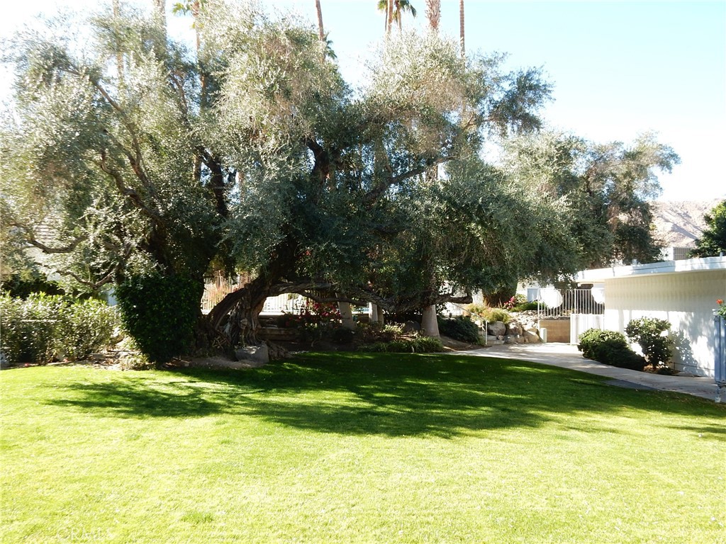 main property photo 50